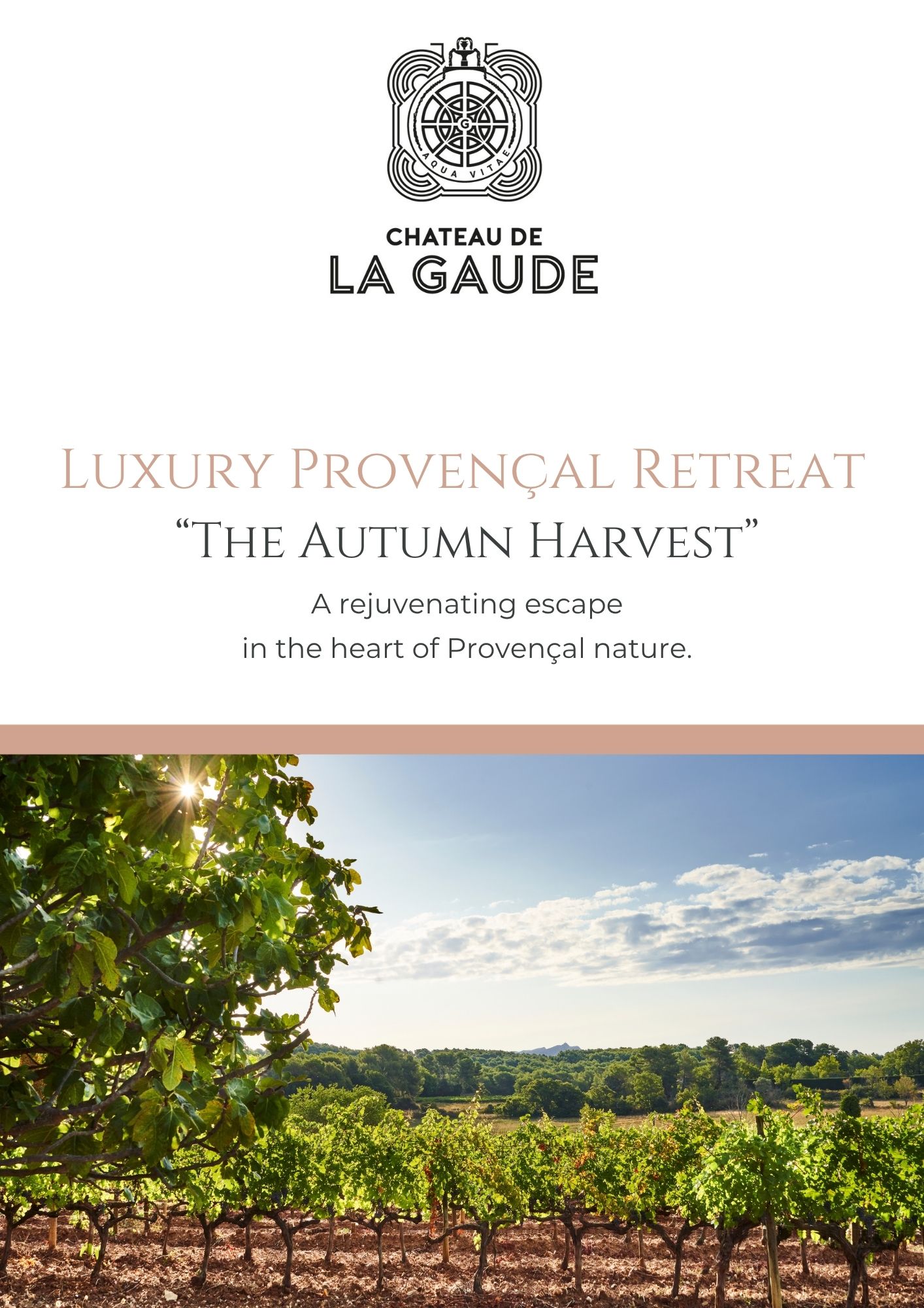 AUTUMN HARVEST