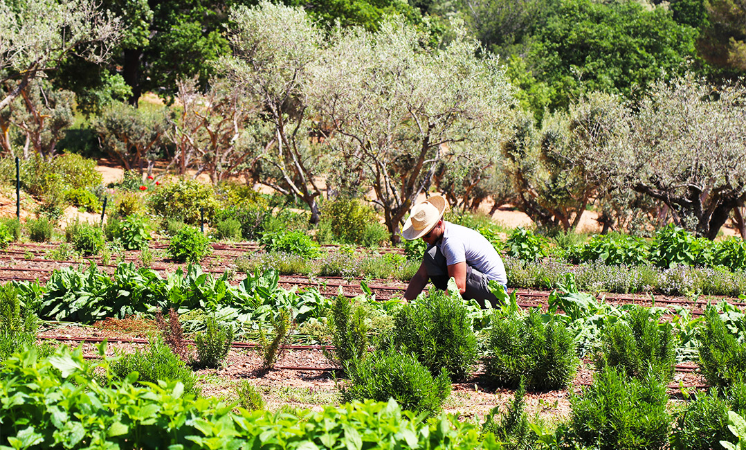 Nos jardiniers ont du talent