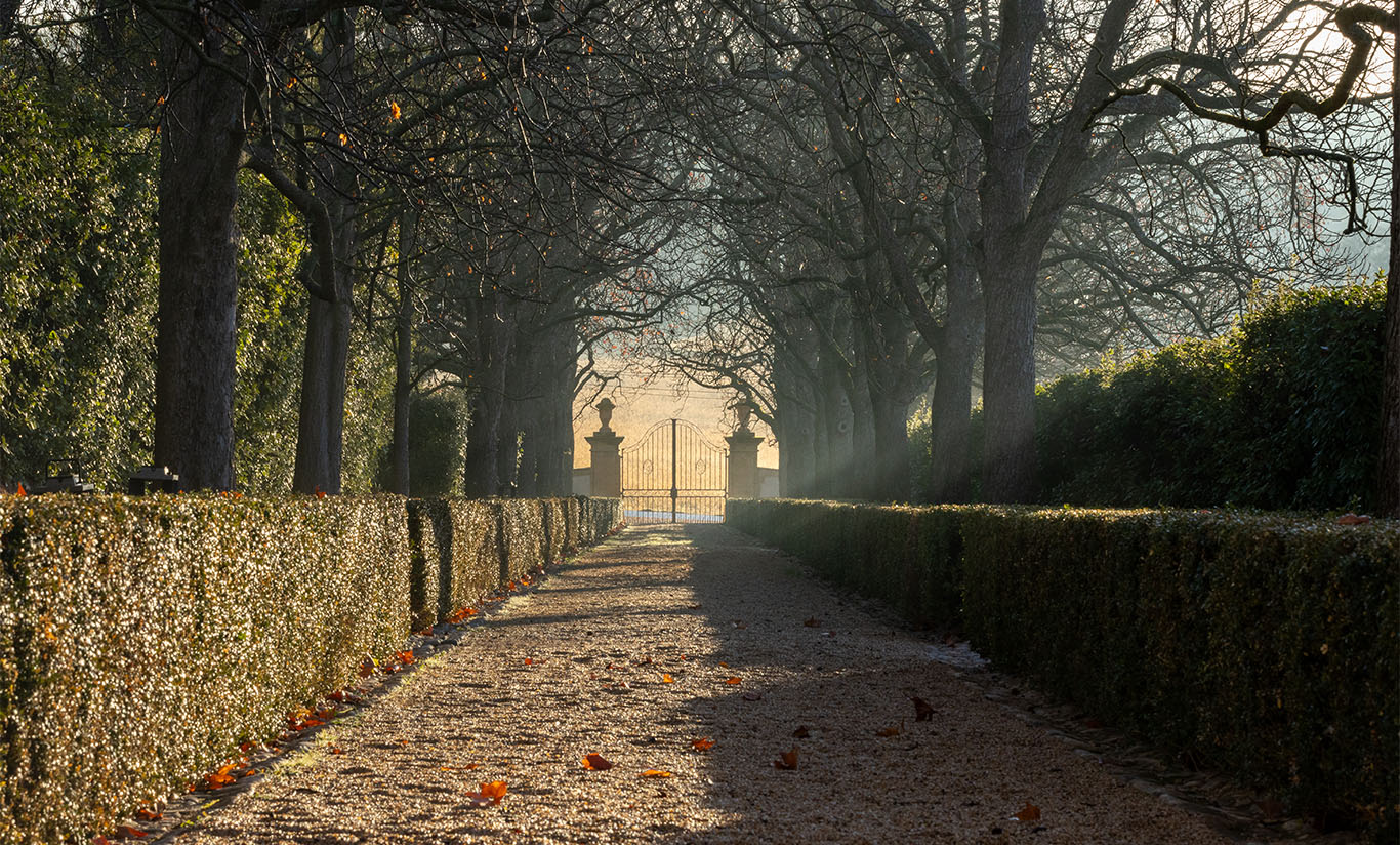 L’Hiver au Domaine