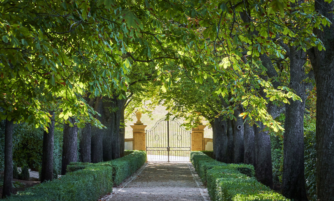 Nos jardins, restaurés par Thomas Gentilini
