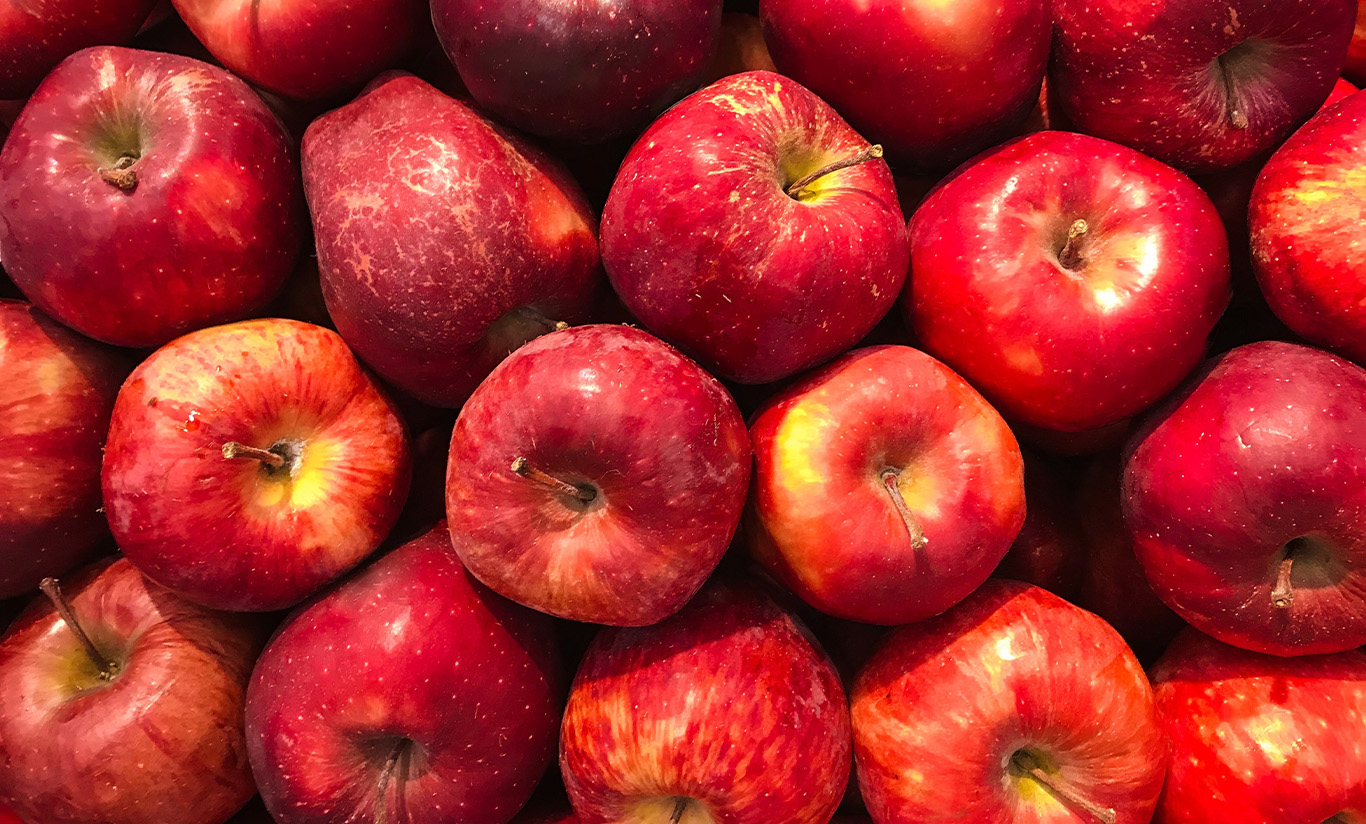 Le fruit de février 