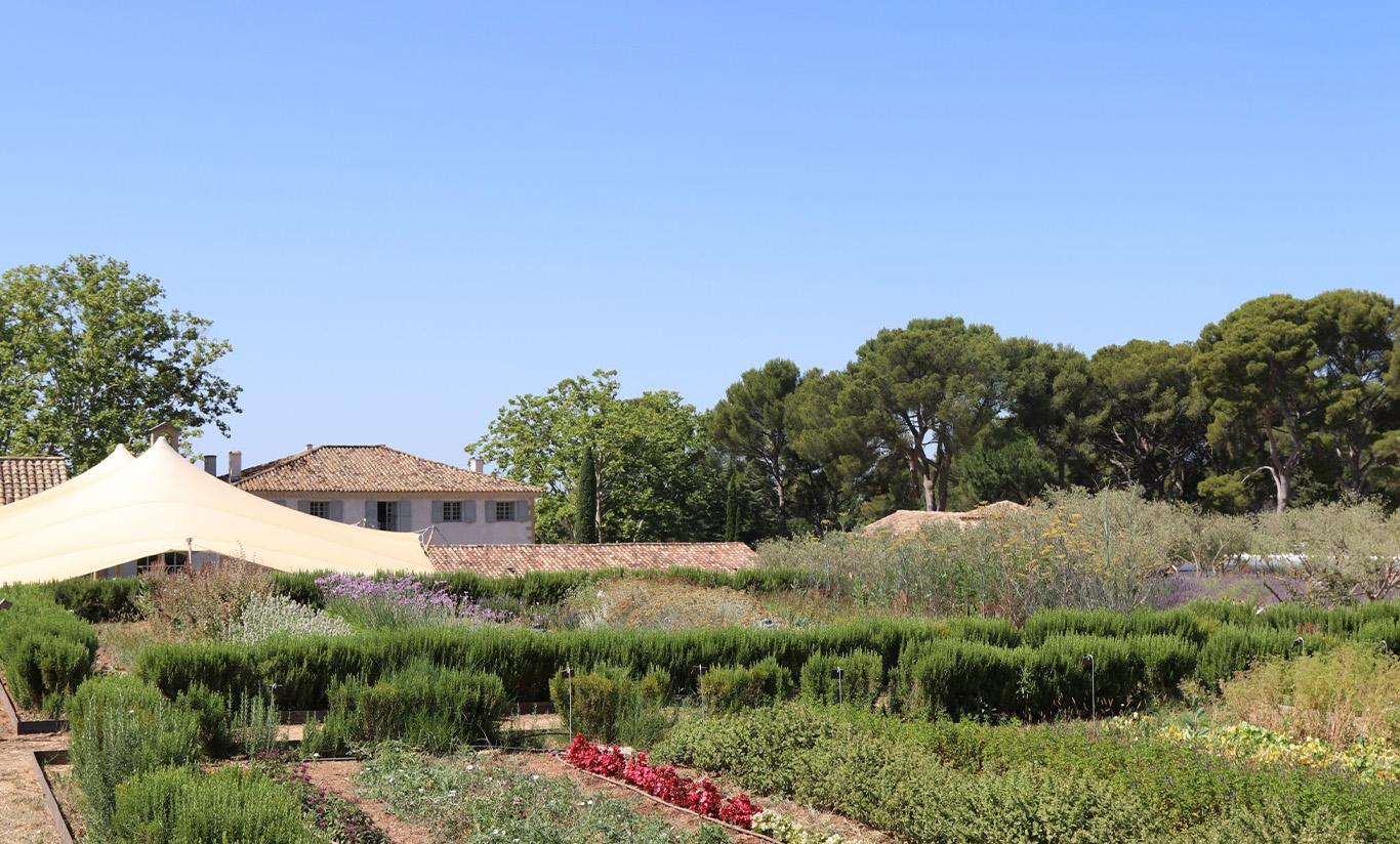 Des bonnes herbes et des fleurs