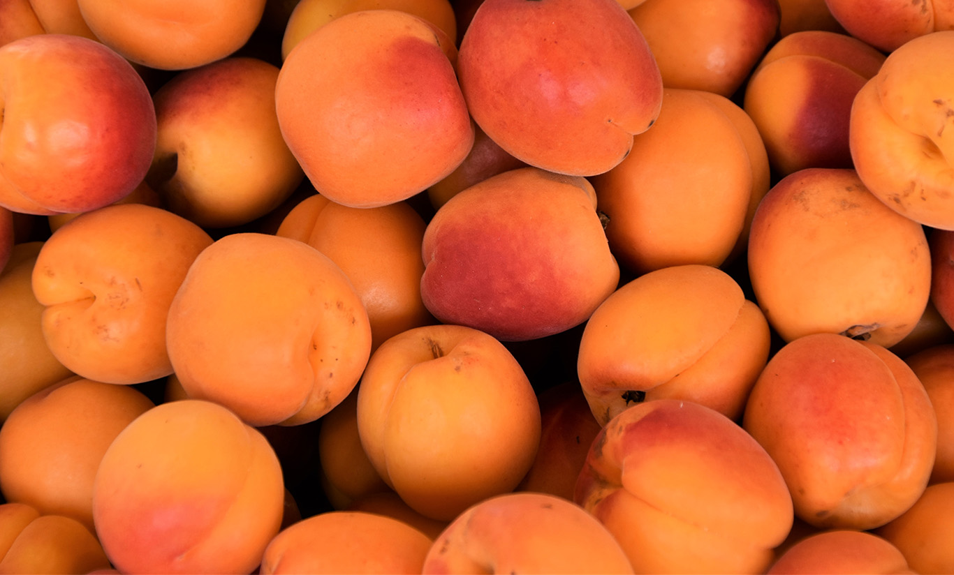 Notre fruit du mois d'août