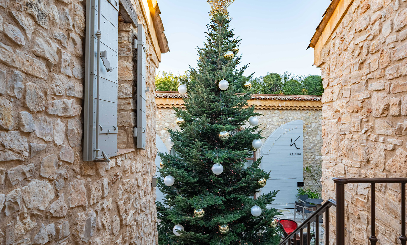 Joyeux Noël  de notre équipe