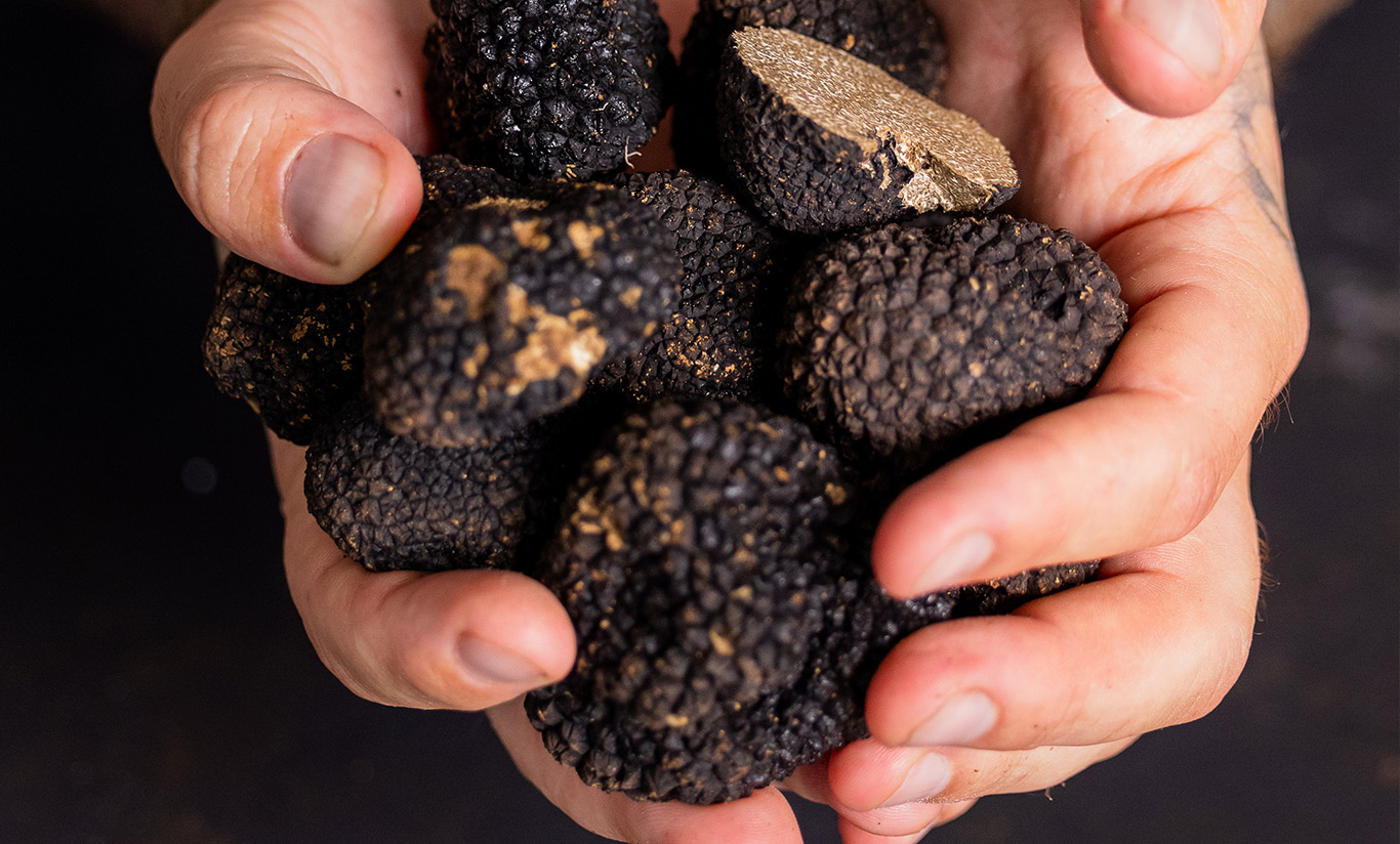 Les truffes