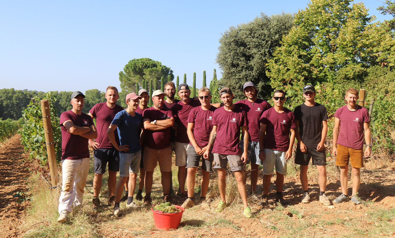 Où en sont nos vendanges ?
